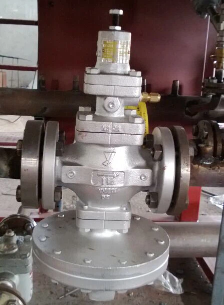 EPS Foam Making Machine